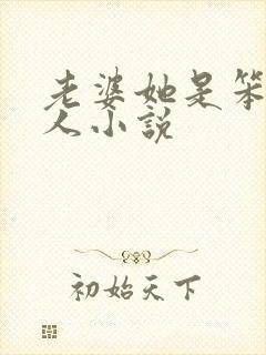 老婆她是笨蛋美人小说