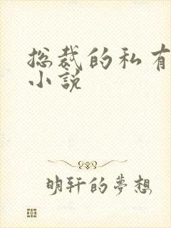 总裁的私有宝贝小说