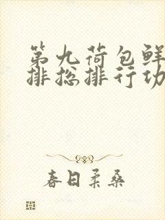 第九荷包鲜辣肉排总排行功能介绍