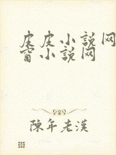 皮皮小说网无弹窗小说网