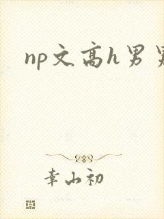 np文高h男男