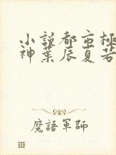 小说都市极品医神叶辰夏若雪无弹窗