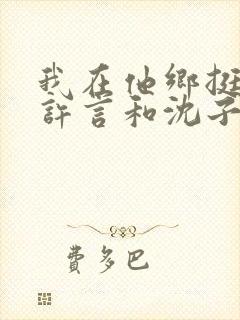 我在他乡挺好的许言和沈子畅结局