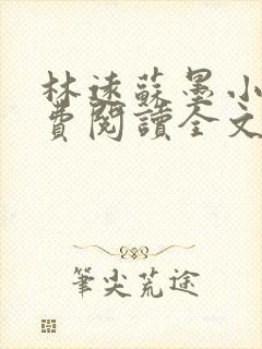 林远苏墨小说免费阅读全文最新章节