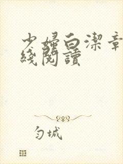 少妇白洁章节在线阅读封面