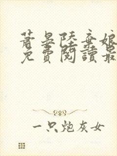 萧晏陆弃娘小说免费阅读最新章节封面