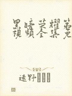 黑暗荣耀第二季视频全集免费观看