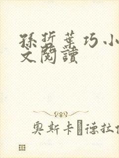 孙哲叶巧小说全文阅读封面