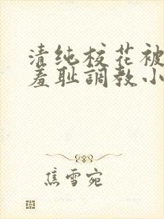 清纯校花被民工羞耻调教小说封面