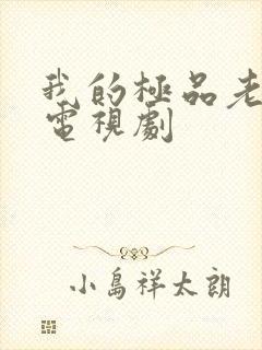 我的极品老妈 电视剧