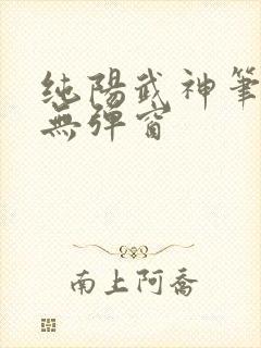 纯阳武神笔趣阁无弹窗