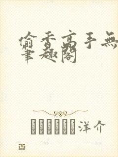偷香高手无删减笔趣阁封面
