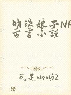 明珠娘子NPC古言小说