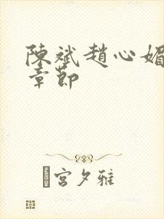 陈斌赵心媚全部章节封面