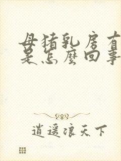 母猪乳房有红点是怎么回事