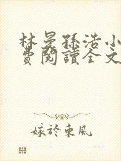 林曼孙浩小说免费阅读全文最新章节