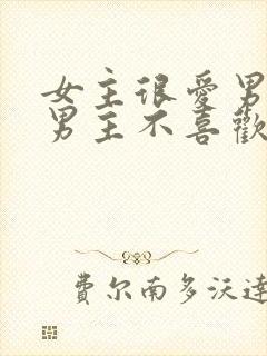 女主很爱男主但男主不喜欢她的小说