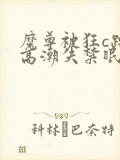 魔尊被狂c躁到高潮失禁眠春浅