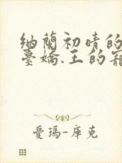 纳兰初晴的《帝台娇.王的宠妃》封面