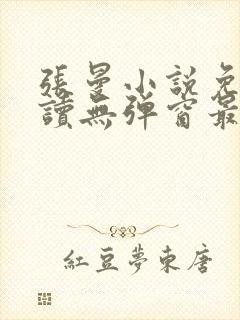 张曼小说免费阅读无弹窗最新章节