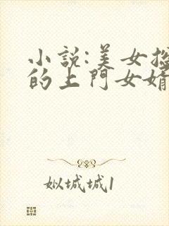 小说:美女总裁的上门女婿