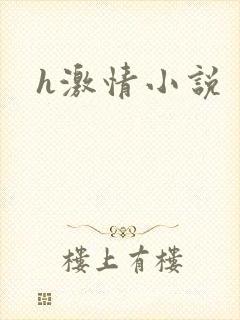 h激情小说