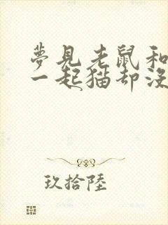 梦见老鼠和猫在一起猫却没有捉老鼠