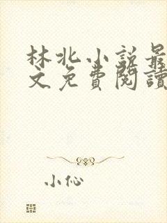 林北小说最新全文免费阅读