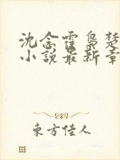 沈念霍枭楚莹莹小说最新章节更新免费阅读