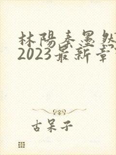 林阳秦墨然小说2023最新章节