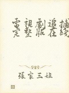 电视剧追捕免费完整版在线观看