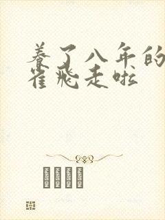 养了八年的金丝雀飞走啦封面