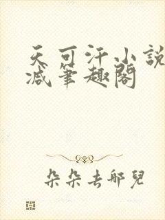 天可汗小说无删减笔趣阁封面