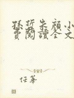 孙哲朱颜小说免费阅读全文最新章节