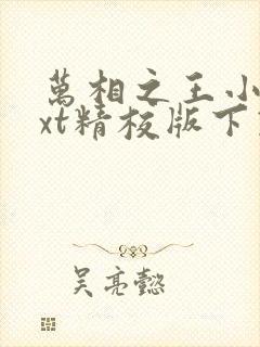 万相之王小说txt精校版下载