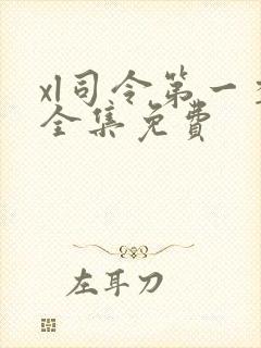 xl司令第一季全集免费