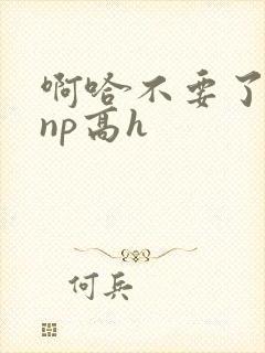 啊哈不要了男男np高h