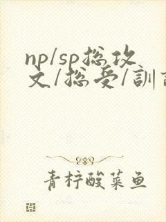 np/sp总攻文/总受/训诫文