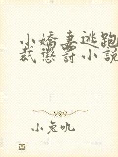 小娇妻逃跑被总裁惩罚小说