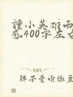 读小英雄雨来有感400字左右封面