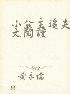 小公主追夫记全文阅读