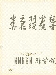 云之羽电视剧全集在线观看免费封面