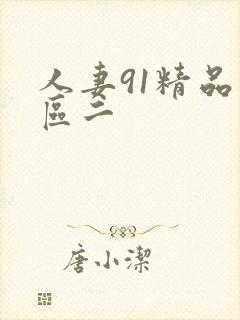 人妻91精品一区二