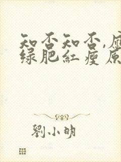 知否知否,应是绿肥红瘦原著