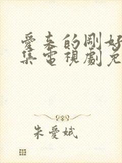 爱来的刚好60集电视剧免费观看