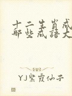 十二生肖成语有哪些成语大全封面