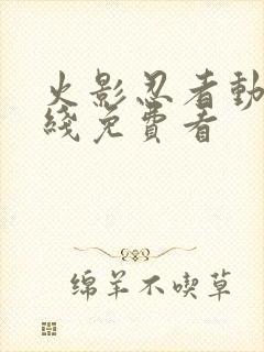 火影忍者动漫在线免费看