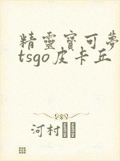 精灵宝可梦letsgo皮卡丘封面