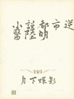 小说都市逆天邪医陆明