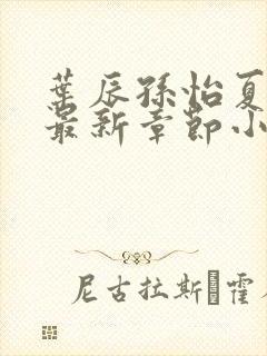 叶辰孙怡夏若雪最新章节小说